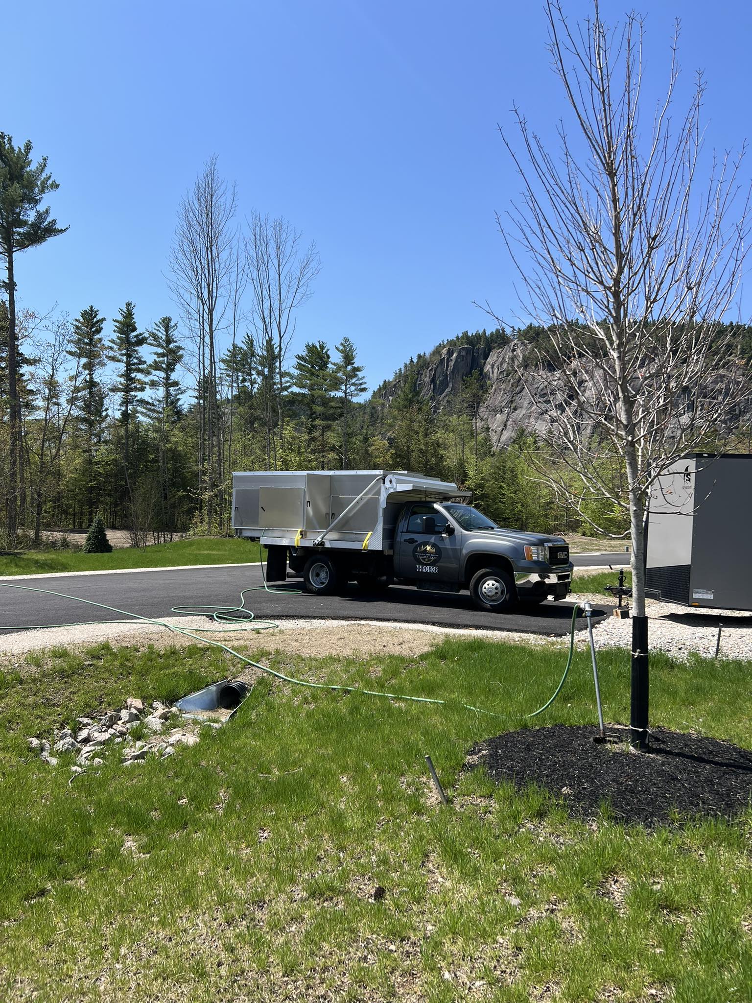 Broadleaf Tree Service providing liquid fertilizer to a young tree.