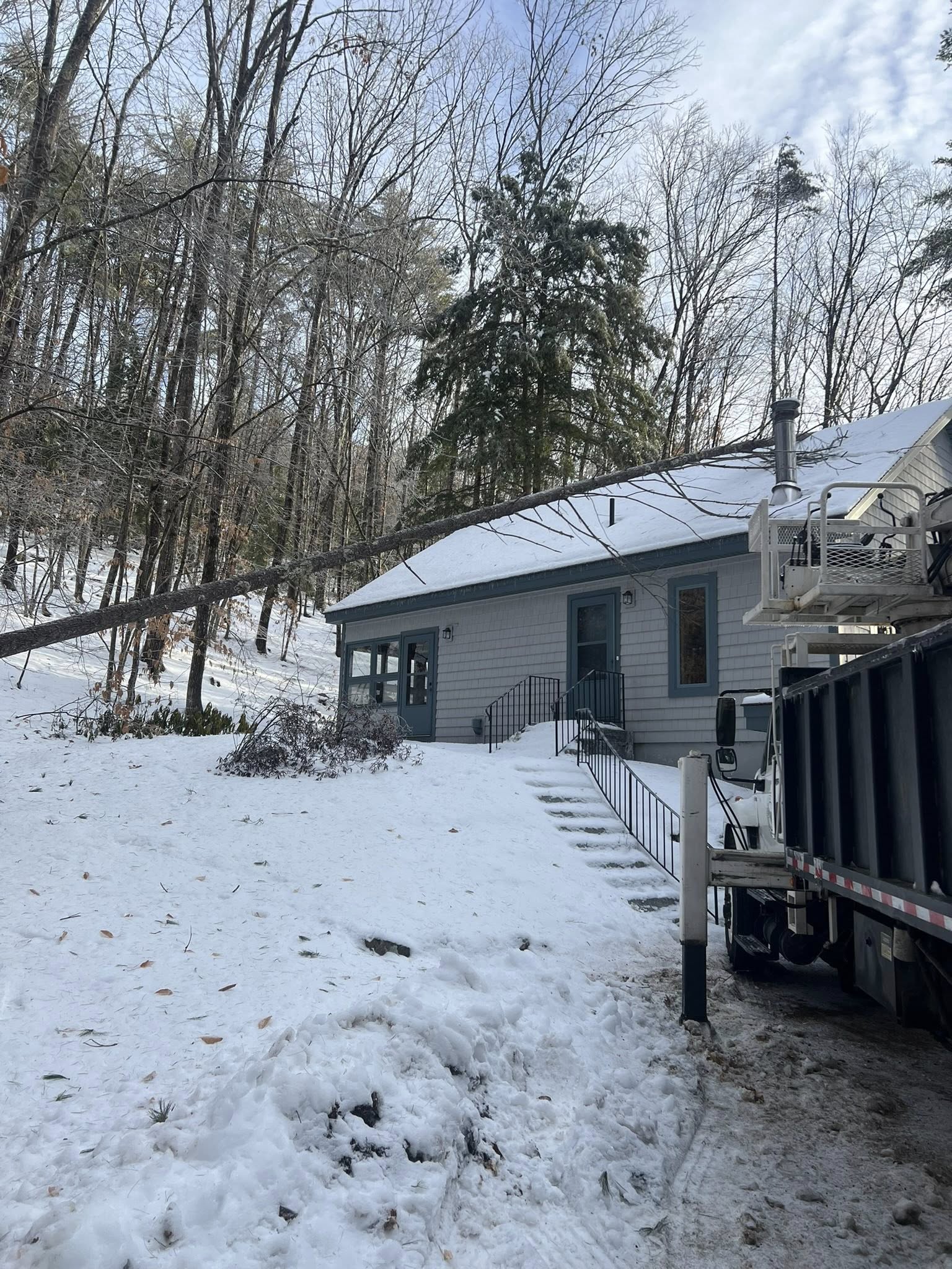 Tree on the roof of a home after an ice storm before removal by Broadleaf Tree Service.